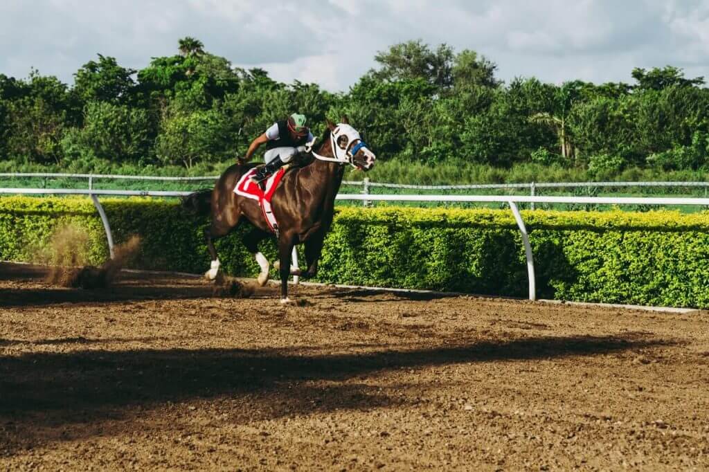 Tuesday's Horse Racing NAP Of The Day | Betopin